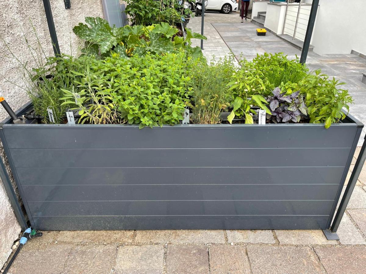 Apartment Zielspitz بارشينيس المظهر الخارجي الصورة