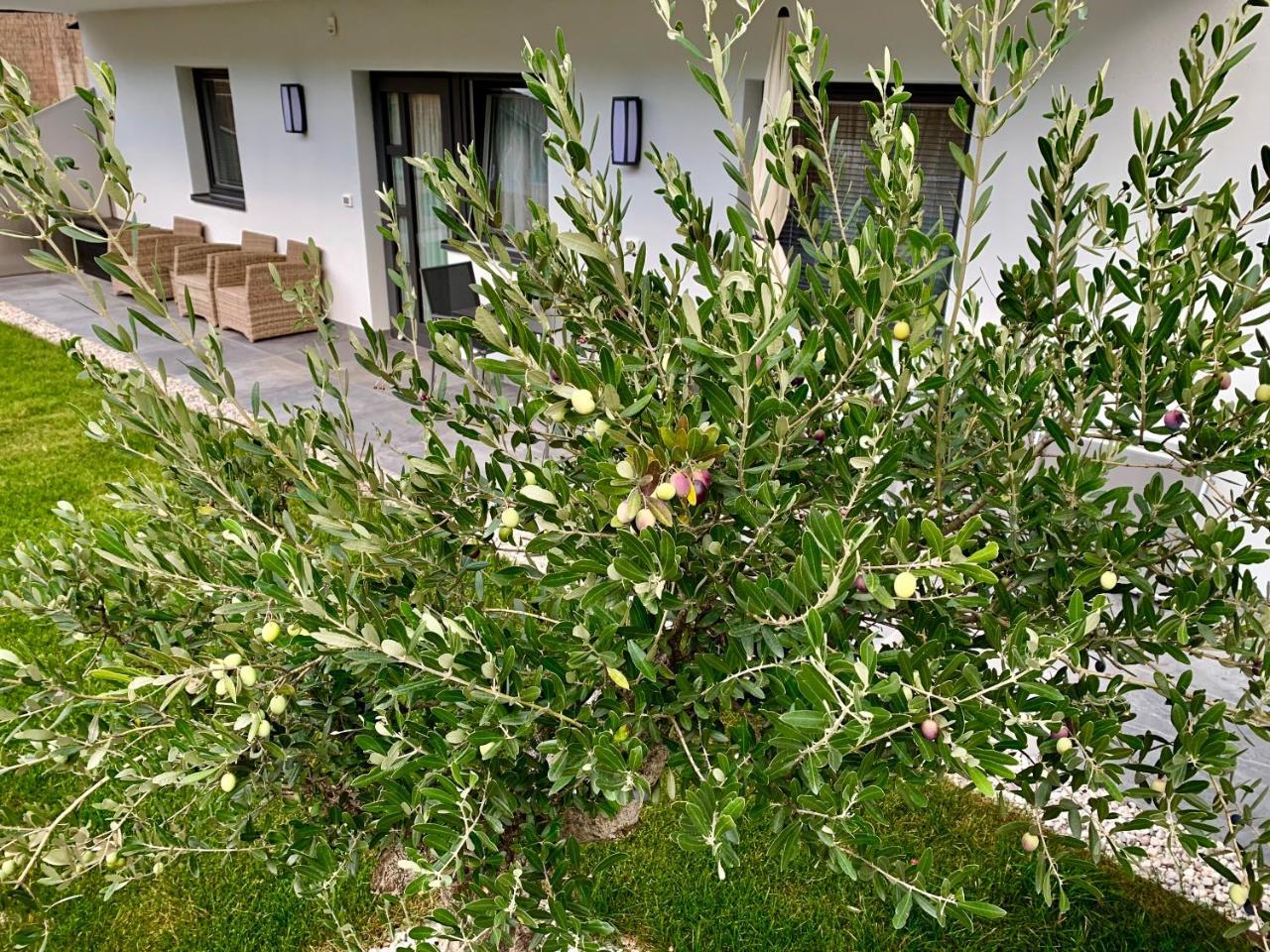 Apartment Zielspitz بارشينيس المظهر الخارجي الصورة